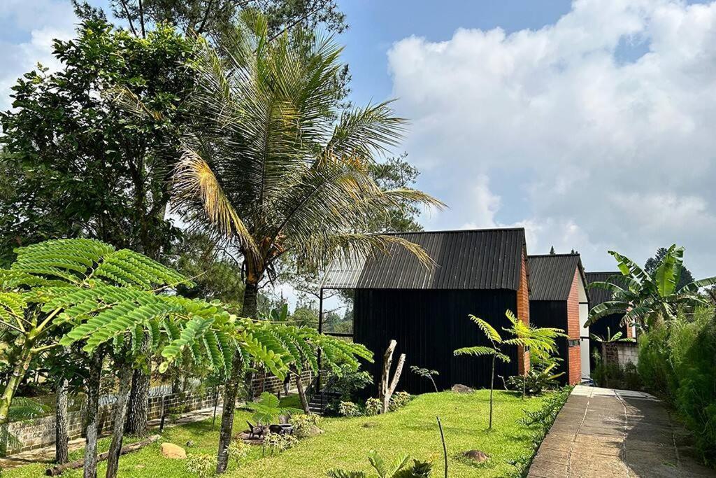 Bango Cabins Loft-2 Rooms Puncak Luaran gambar